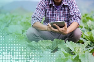 How-Farmers-Leverage-Digital-Agriculture-to-Improve-Food-Sustainability